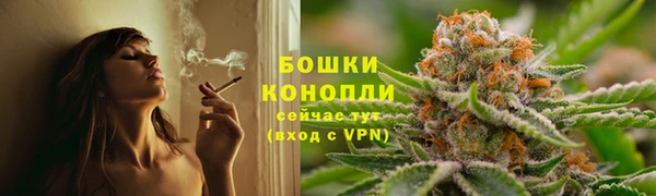 PSILOCYBIN Ельня