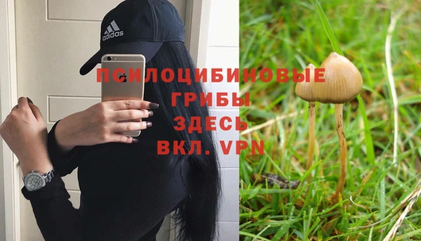 трава Баксан