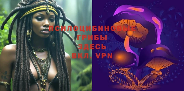 ALPHA-PVP Белокуриха