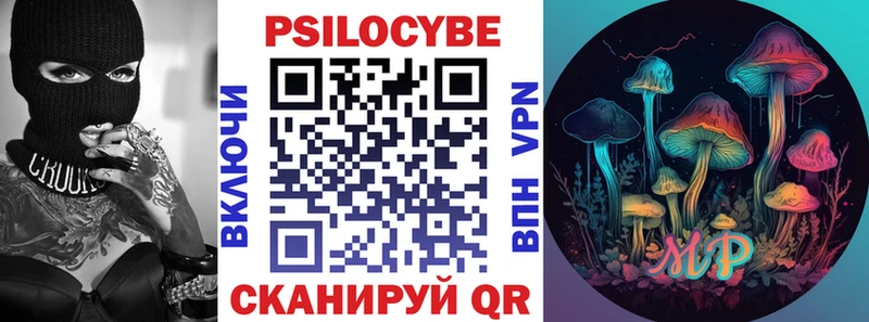 Галлюциногенные грибы прущие грибы  Гаврилов-Ям 