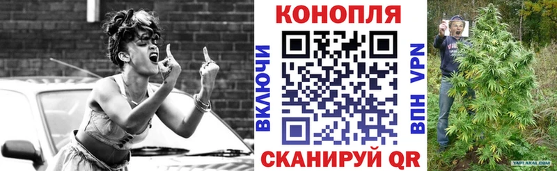 Конопля семена Гаврилов-Ям